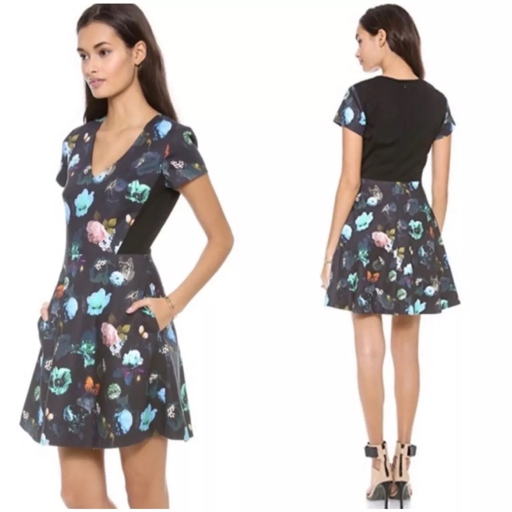 🦋 Club Monaco Aurelie Fit & Flare Dress